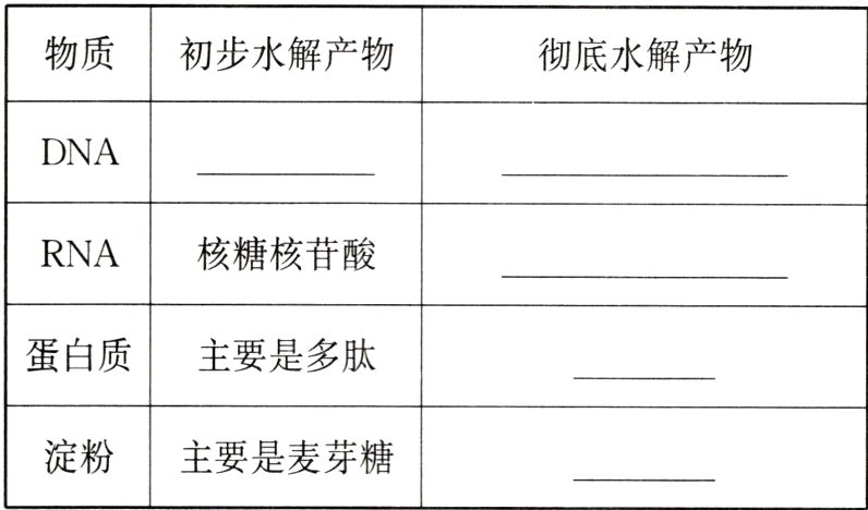 淀粉主要是麦芽糖