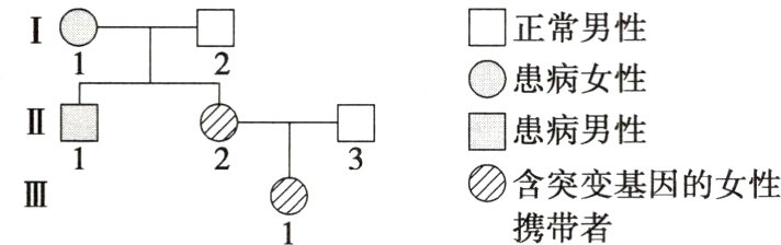 含突变基因的女性携带者