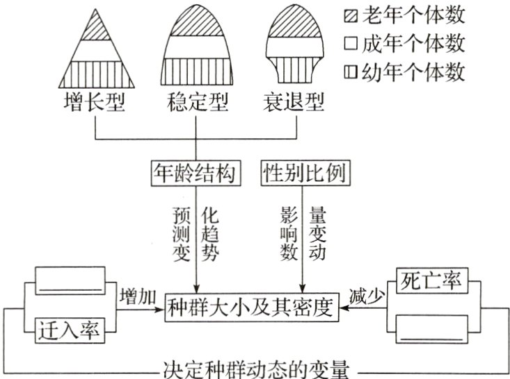 决定种群动态的变量
