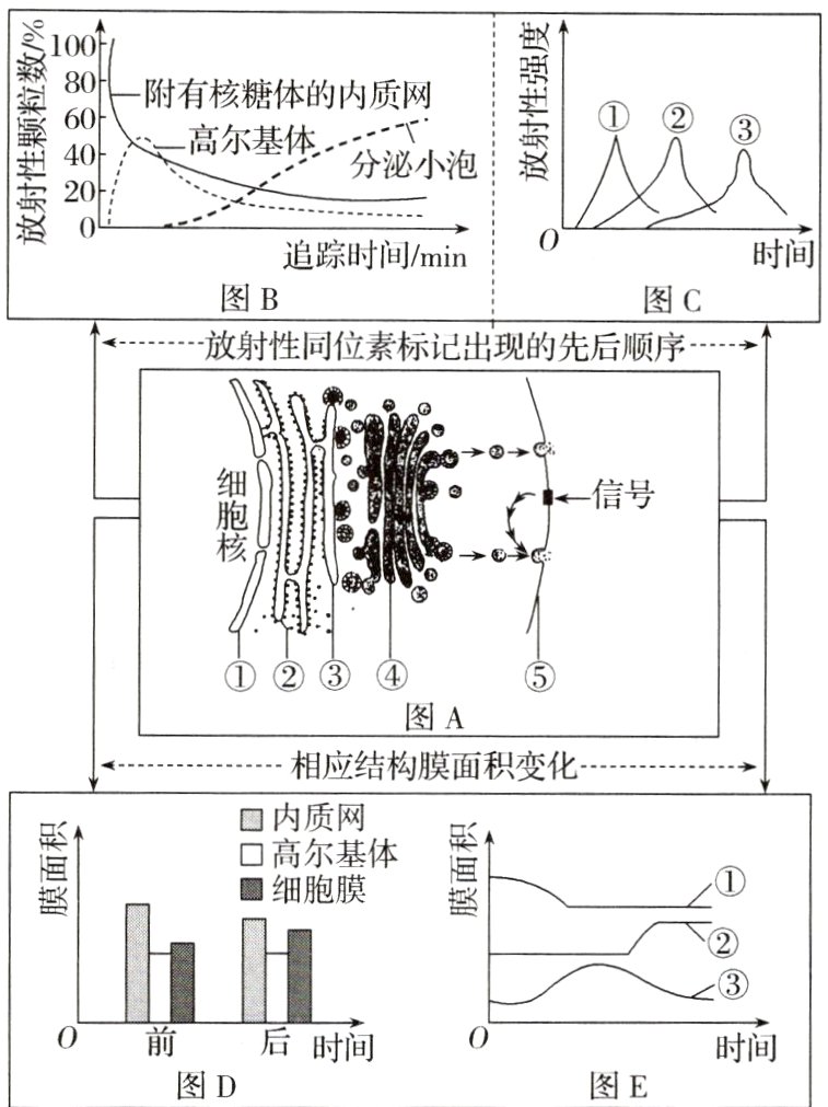时间时间图D图E
