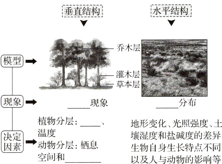 动物分层栖息生物自身生长特点不同空间和以及人与动物的影响等