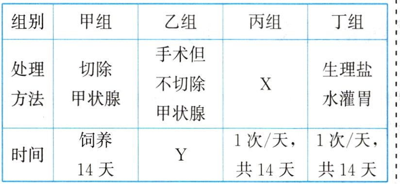 时间共14天共14天14天