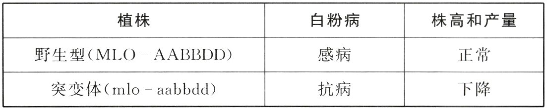 突变体mloaabbdd抗病下降