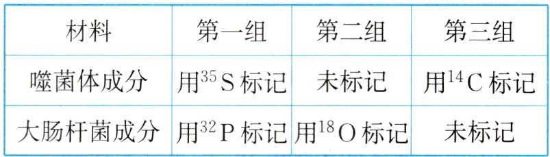 大肠杆菌成分用32P标记用18O标记未标记