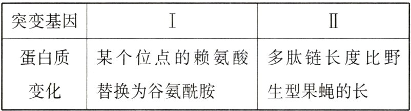 变化替换为谷氨酰胺生型果蝇的长