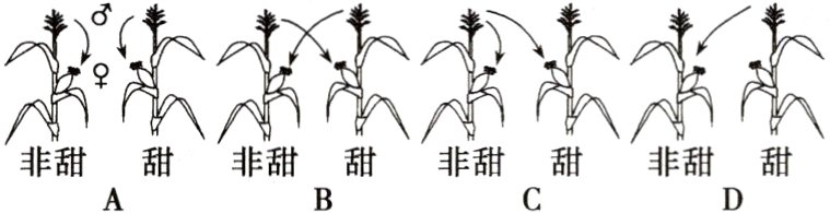 非甜甜非甜甜非甜甜非甜甜