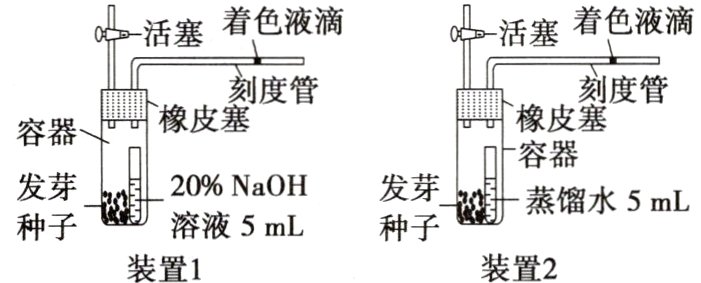溶液5mL种子种子装置1装置2