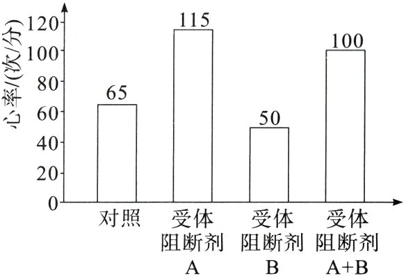 阻断剂阻断剂阻断剂AB