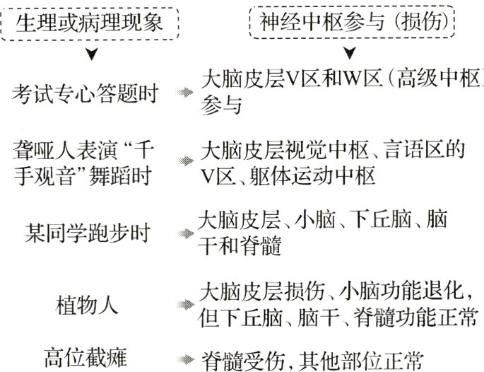 高位截瘫脊髓受伤其他部位正常