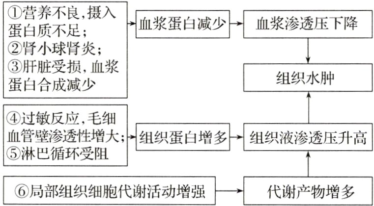 局部组织细胞代谢活动增强代谢产物增多