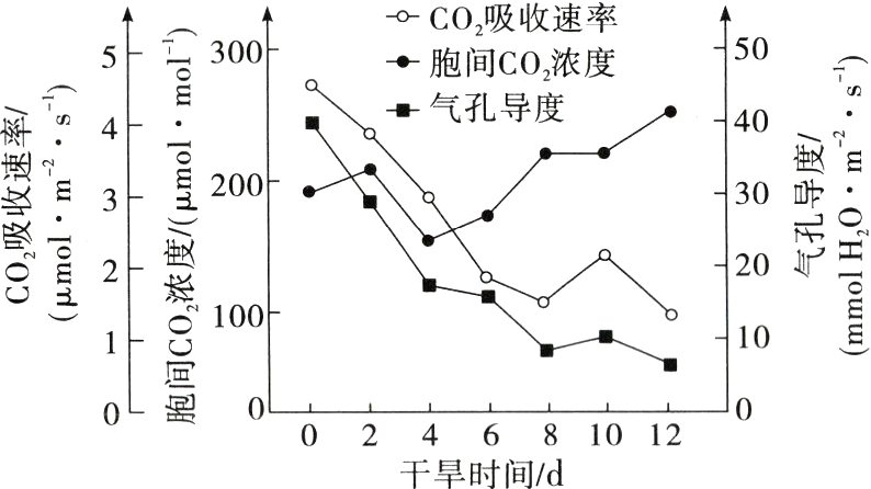 024681012干旱时间d