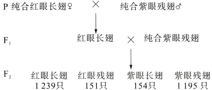 F2红眼长翅红眼残翅紫眼长翅紫眼残翅1239只151只154只1195只