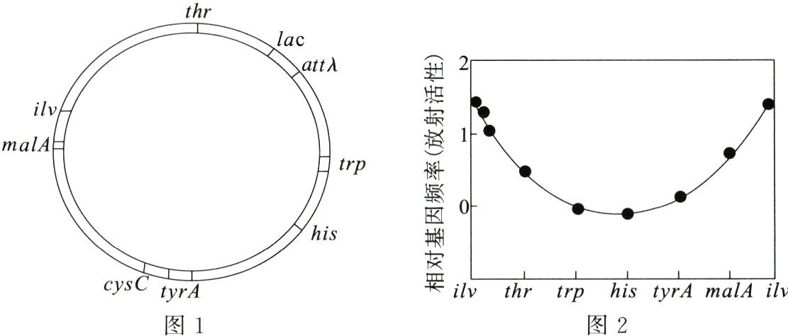 cyshistyrAmalAilvtrp图1图2