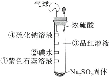 紫色石蕊溶液冖龌Na2SO固体