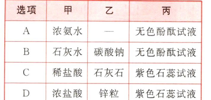 浓盐酸锌粒紫色石蕊试液