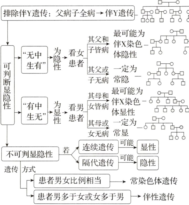 患者男多于女或女多于男伴性遗传