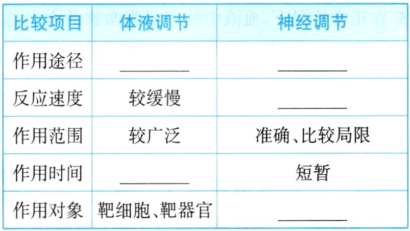 作用对象靶细胞靶器官