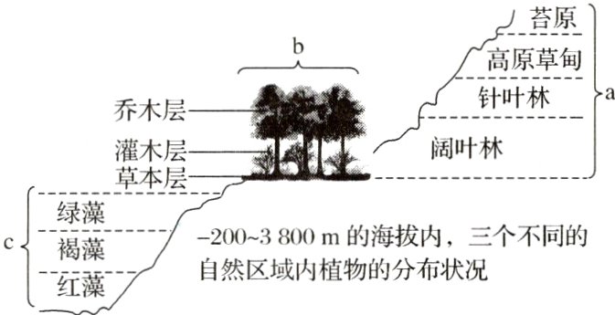 自然区域内植物的分布状况红藻