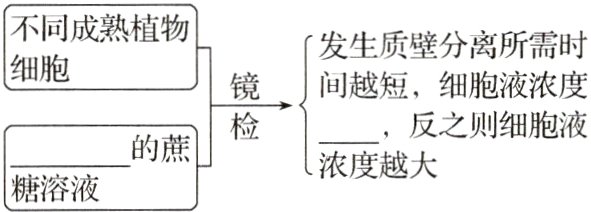 的蔗浓度越大糖溶液