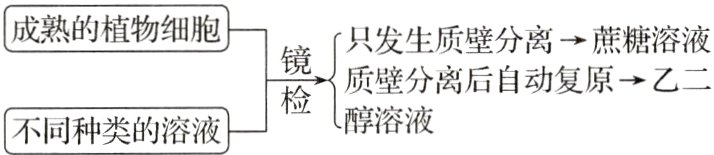 醇溶液不同种类的溶液