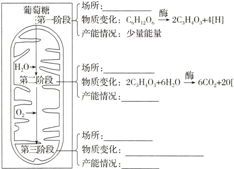 第三阶段物质变化产能情况