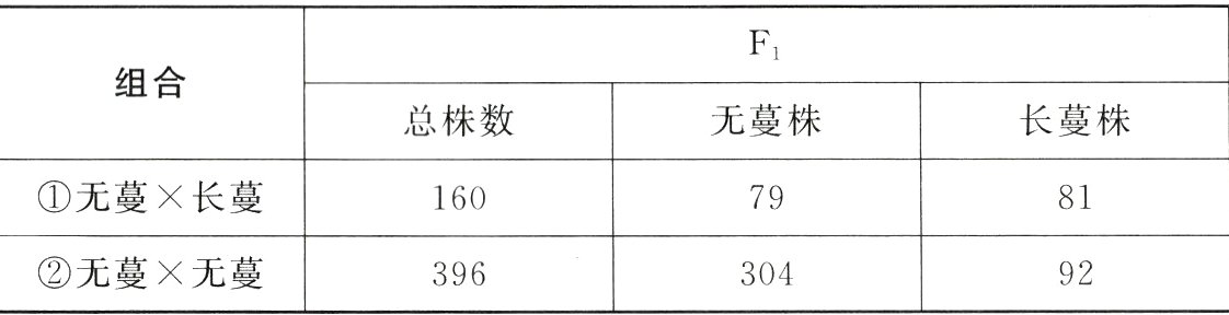 无蔓无蔓92304396