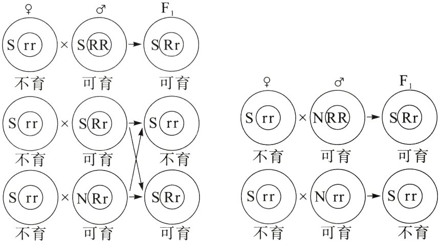 不育不育可育不育可育可育
