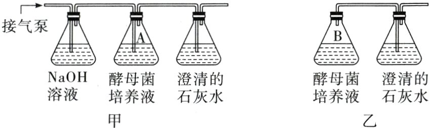 溶液培养液石灰水培养液石灰水