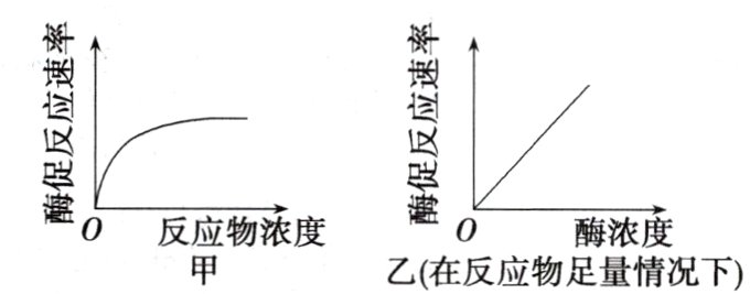 0反应物浓度酶浓乙在反应物足量情况下
