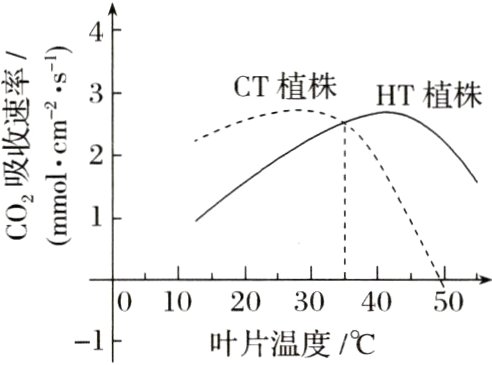 010203040501叶片温度