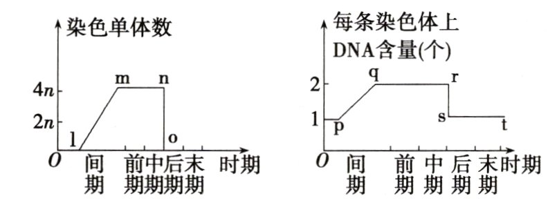 翦局时期翦末时期