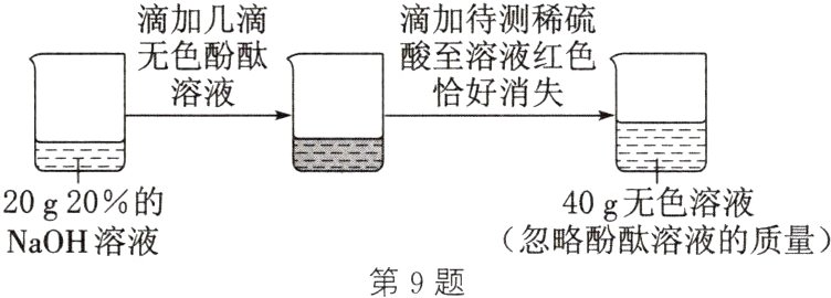 忽略酚酞溶液的质量NaOH溶液第9题