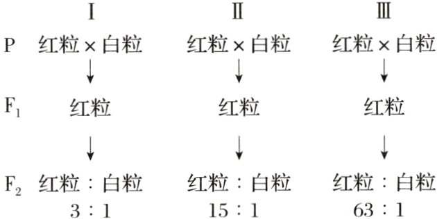 红粒白粒红粒白粒红粒白粒15163131