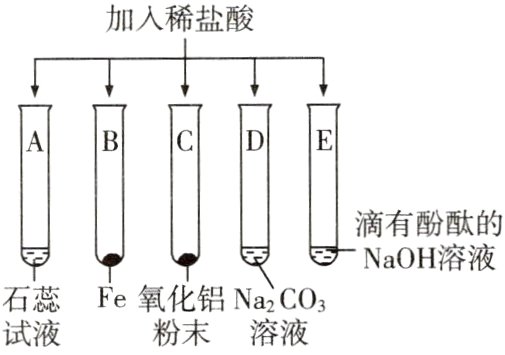 石蕊Fe氧化铝NaCO试液粉末溶液