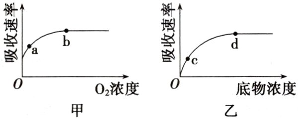 02浓度底物浓度