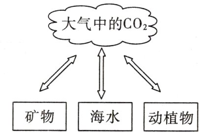 矿物海水动植物