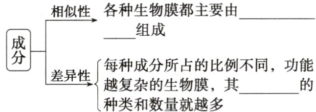 越复杂的生物膜其种类和数量就越多