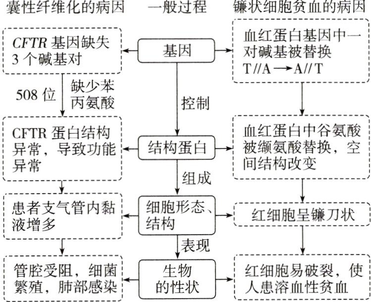 管腔受阻细菌生物繁殖肺部感染的性状厂人患溶血性贫血1