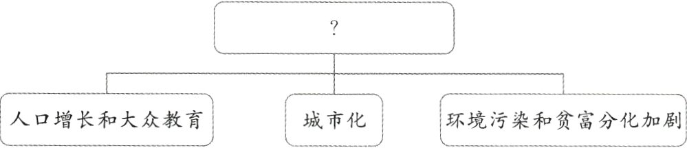 人口增长和大众教育城市化环境污染和贫富分化加剧