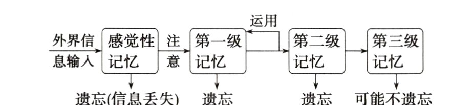 遗忘可能不遗忘遗忘信息丢失遗忘