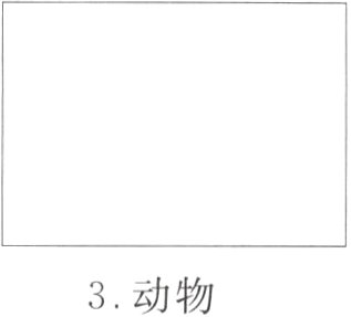 3动物