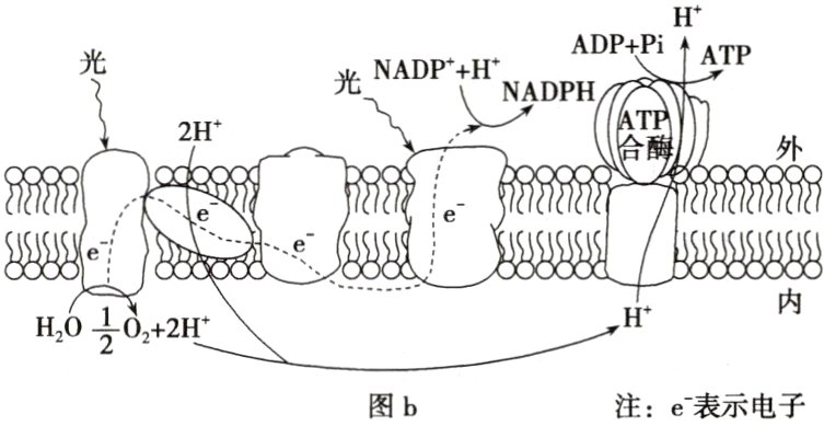 注e表示电子图b