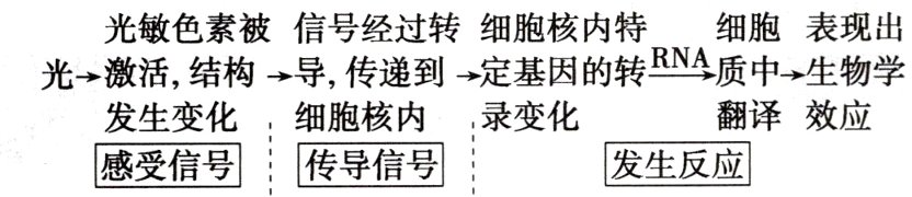 发生反应感受信号传导信号
