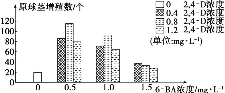 200510156BA浓度mgL1