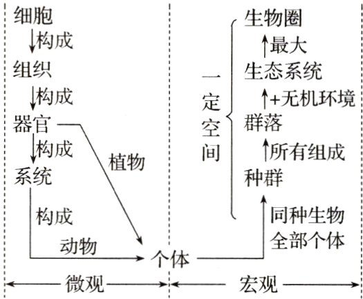 个体一微观宏观