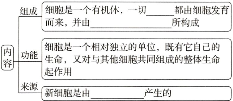 来源产生的新细胞是由