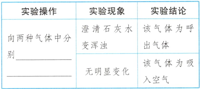 无明显变化入空气