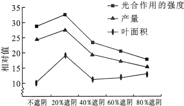 不遮阴20%遮阴40%遮阴60%遮阴80%遮阴