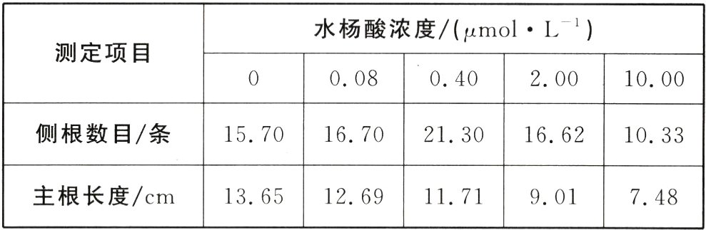 主根长度cm136512691171901748