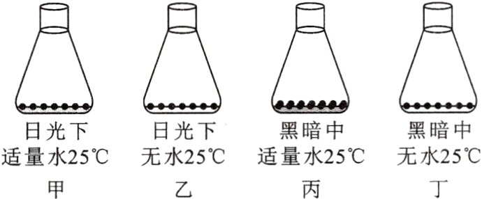 适量水25℃无水25℃适量水25℃无水25℃